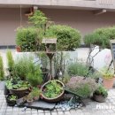 돌고래시장 이미지