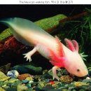 소망행정사사무소 이미지