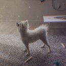 올인다방 이미지