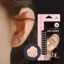 더블유 카카오 검색결과