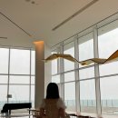 씨마크호텔써멀스위트 | 강릉 씨마크호텔 디럭스 오션뷰룸 5성급 호텔 추천 수영장 사우나 조식