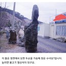 최고급 정원석,화강암 자연석,입석 정원돌,조경석 90톤정도 판매 이미지