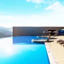 아쿠아필드 고양 이미지