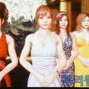 아일랜드 당구클럽 이미지