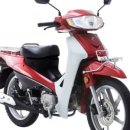 대림카모터스 이미지