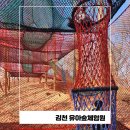 대구 근교 아이와 가볼만한곳 김천 유아숲체험원 야외 놀이터