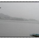 오시나래 이미지