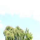 내동마을 입구 이미지