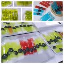 내가 만든 토탈공예 이미지