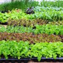 충남농약사 이미지