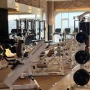 라운지휘트니스 | 굶지 않는 다이어트의 정석 | 20대 회원님을 위한 맞춤형 영양 식단 가이드 &amp; PT 후기, 라운지 휘트니스