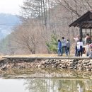 연꽃농원