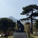 울산슈퍼 | [속초 여행] 설악산 울산바위 초보자도 가능한 코스 추천/후기 - 아디다스 슈퍼스타 신고 산행 후기
