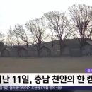 충남차유리 이미지
