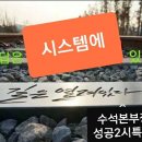 인셀덤드림파워