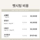 공항 가까운 전원주택 펫시터 이미지