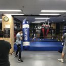 베스트복싱짐 | 강동구 강일동 베스트복싱클럽/미사강변복싱짐 합동스파링데이 진행하였습니다^^ 강동구 최고복싱장...