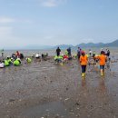 경남 남해 이어마을 - 바지락