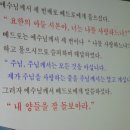 2013년 4월 28일 모실분 찾기 선교특강 (부산교구 안락성당 장태영 베네딕토) 이미지