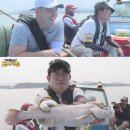 도시어부 이미지