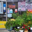 피자스쿨서산 네이버블로그