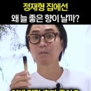 팔로산토