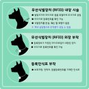 미등록9 충남일보