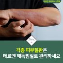 테르엔 이미지