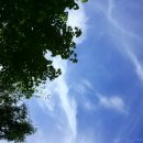 구름정원펜션 이미지