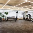 디딤휘트니스 이미지