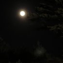 날아라슈퍼 이미지