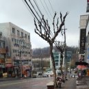 태평보령약국 이미지