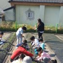 상남초등학교 이미지