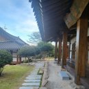 심학건축자재 | [슬기로운 은퇴생활] 맥주 만드는 셰프/ 목포 외달도 한옥펜션 여행 후기