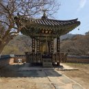 대원사 가는 길 벚꽃 구경