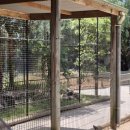 뉴삼성카써비스 | 시드니 여행 3일차 후기 | 패더데일 동물원, 블루마운틴, 별보기 투어 복장 꿀팁