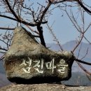 섬진농원 Daum카페