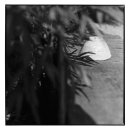 부전1동-4 이미지