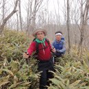 차돌배기로1 이미지