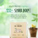 춤추는 고래 이미지