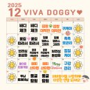 비바도기 이미지