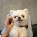 장싸롱