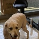 살롱드베베 이미지