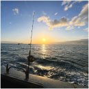 88낚시 | 제주도 배낚시 방어 잿방어 부시리 체험배낚시 광명호