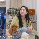 전진행거 네이버블로그