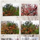 간촌공원 이미지