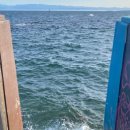 해안도로 주유소 이미지