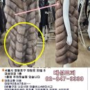대성옷수선집