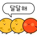 앤케이크