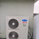 의림대로 이미지